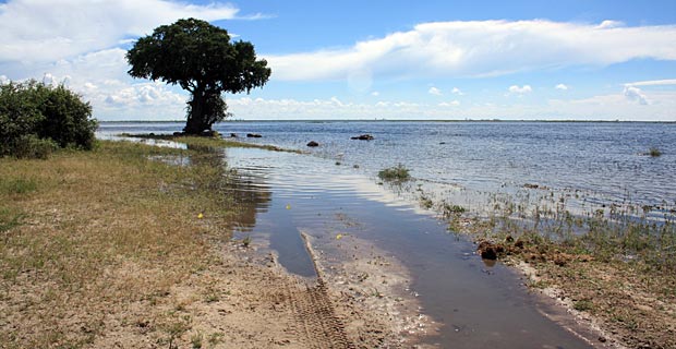 Regenzeit Botswana Chobe Nationalpark