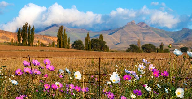 Welche Nationalparks besuchen Südafrika Golden Gate highlands