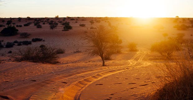 Wohin jetzt reisen kein Risikogebiet Namibia