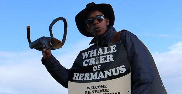 Hermanus Garden Route Südafrika sehenswert