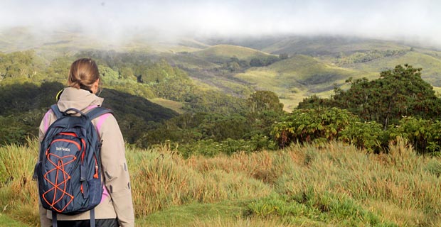 Chogoria Mount Kenya Reisebericht