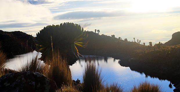 Mount Kenya Route Reisebericht