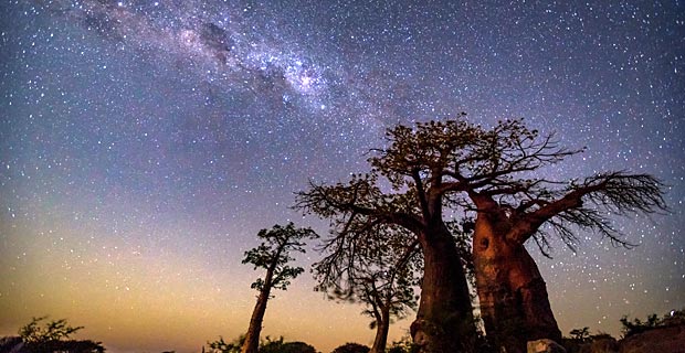 Fotografen beste Reisezeit Botswana