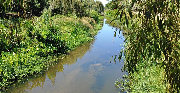 Liesbeek Fluss Wasser Kapstadt Südafrika