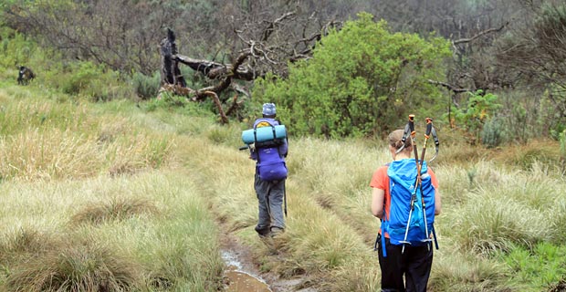 Mount Kenya Erfahrungsbericht Chogoria