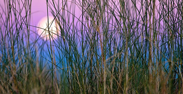 Reisezeit Botswana Wetter Klima