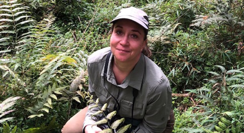 Berggorilla Trekking Ruanda