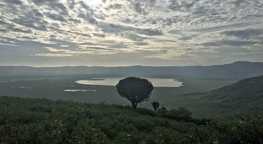 Sicht in den Ngorongoro Krater