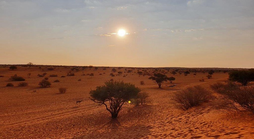 Kalahari Halbwueste