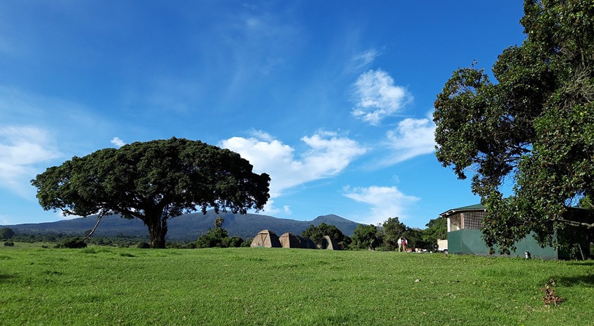 Camping Safari Tansania