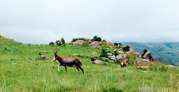 Sehenswürdigkeiten eSwatini Swasiland