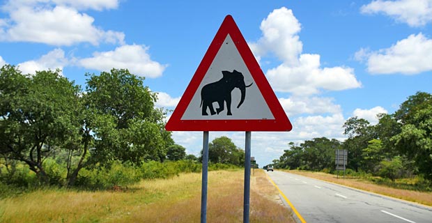 Warum eine geführte Rundreise Südafrika