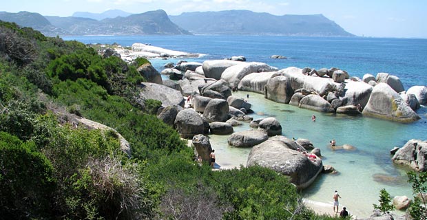 Wo gibt es in Südafrika Pinguine?