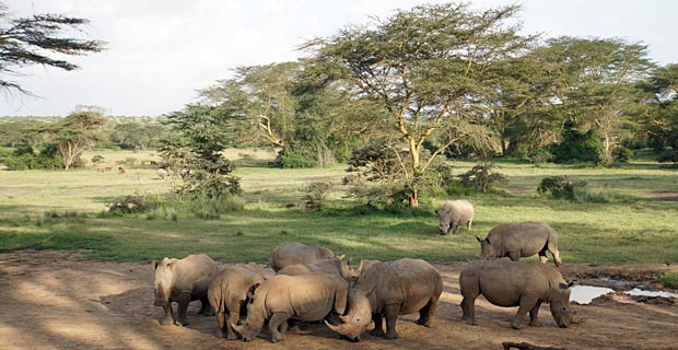 Warum man nach Kenia reisen sollte?