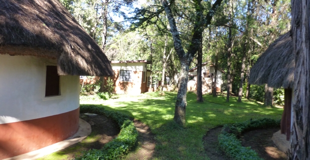 12_gb_Mt Kenya Kongoni