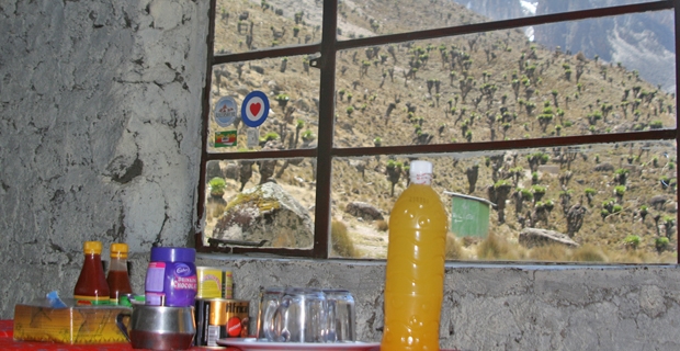 15_gb_Mt Kenya Lunch
