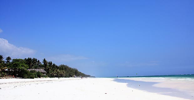 Bild-1