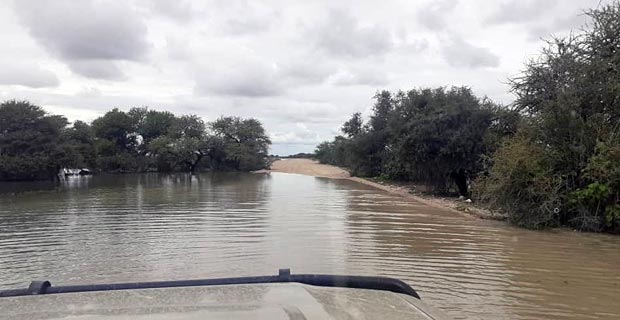 Regen in Namibia Etosha