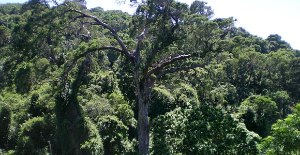 Sehenswürdigkeiten in Nature’s Valley Garden Route