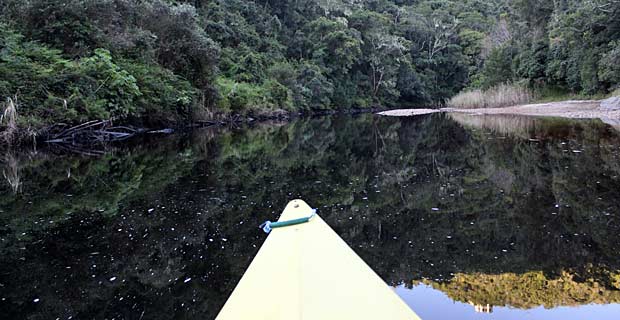 Aktivitaeten in Wilderness Garden Route