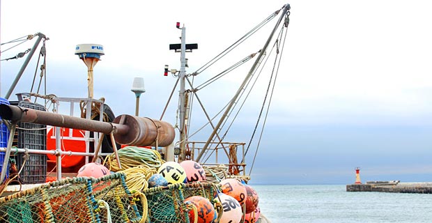 3_Elefant-Tours_Hafen