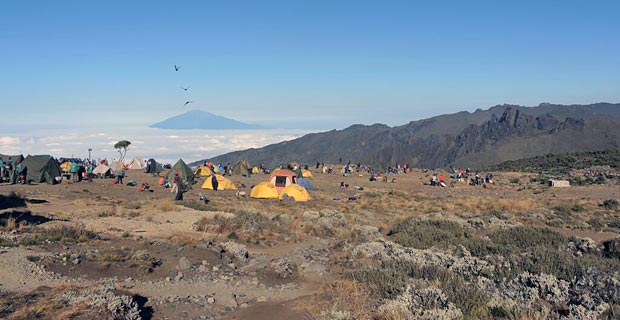 3_kilimanjaro_elefant-tours