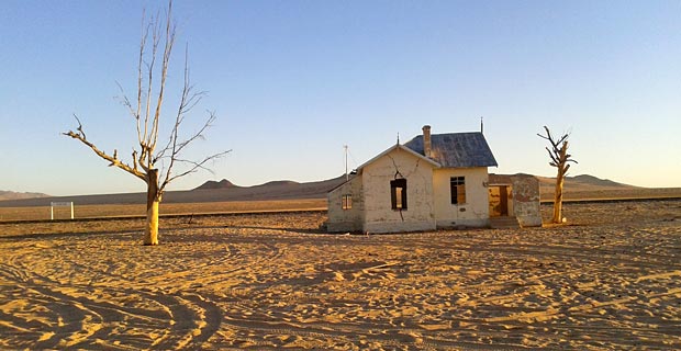 Garub Lüderitz Wildpferde Namibia