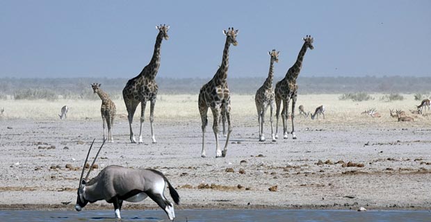 Namibia Reise Corona Erfahrungsbericht