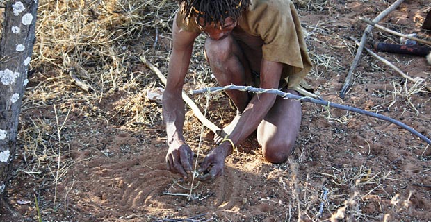 Welche Unterkunft Botswana?