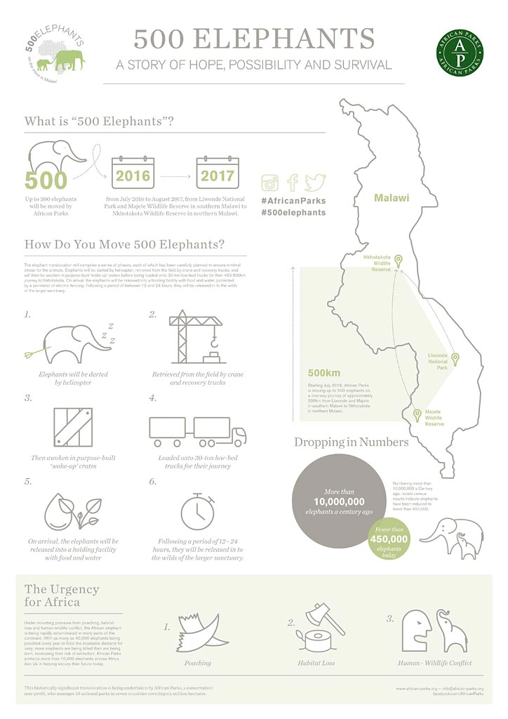 500-Elephants-Infographic-1