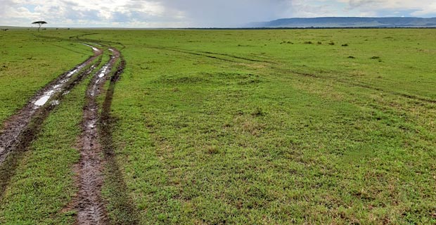 Zur Regenzeit nach Kenia reisen