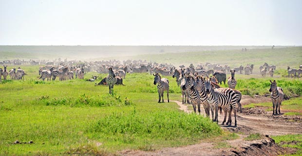 Welche Jahreszeit für Kenia Reise