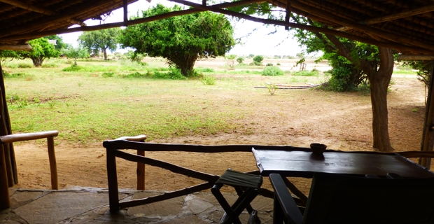 7_gb_ Tsavo Ost Satao
