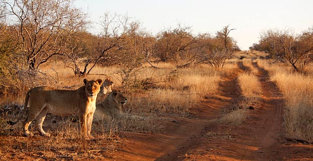 Südafrika beste Jahreszeit zum Reisen