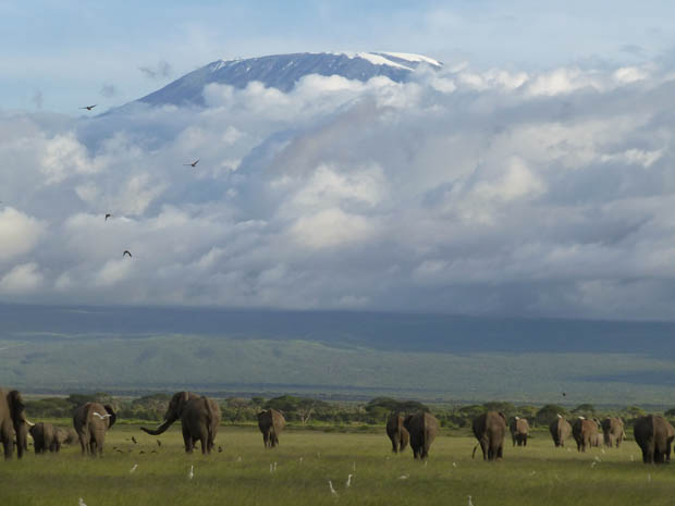 8_gb_Amboseli