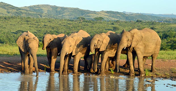 Südafrika Wann beste Reisezeit