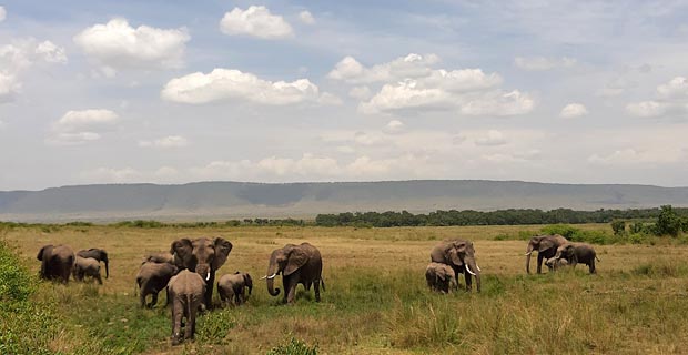 Wann ist die beste Reisezeit für Kenia