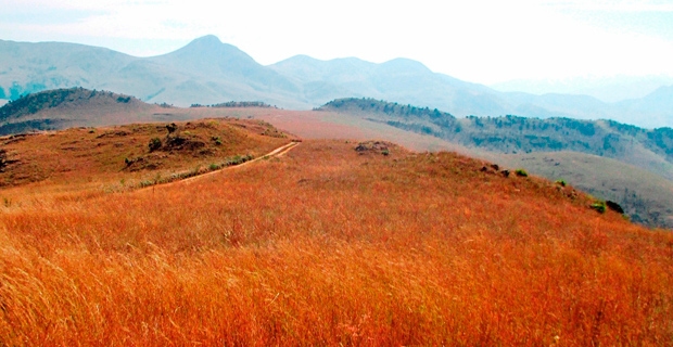 Bild-2_swaziland-landscape