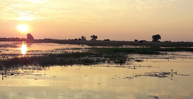 Bootsfahrt-bei-Chobe-Game-Lodge-auf-Chobe-River-(1)