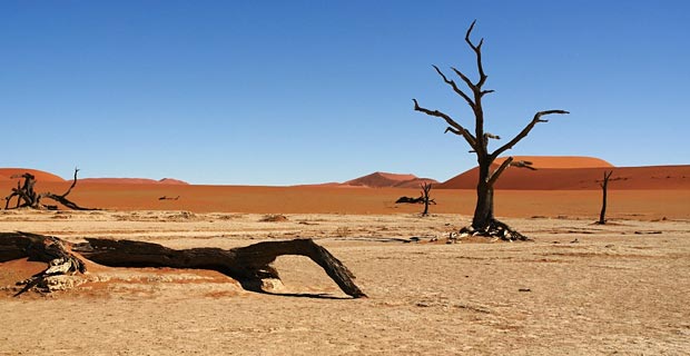 deadvlei