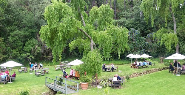 Foto: Farina Fontaine / Eagles‘ Nest Weingut