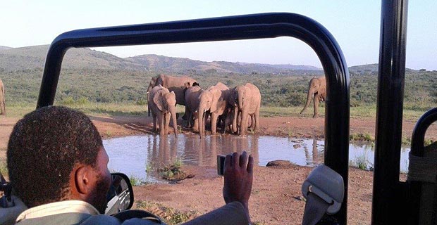 Game-Drive