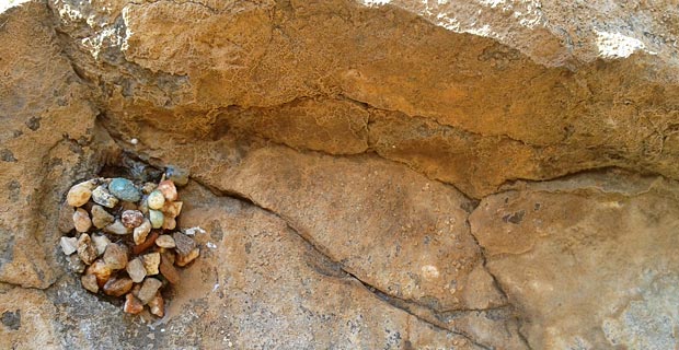 JPr_Bushwalk_2