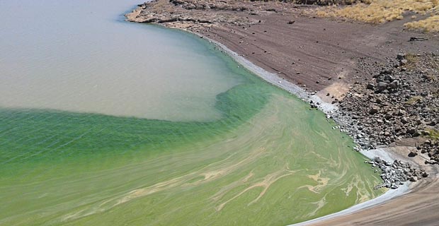 JPr_Hardap-Staudamm_1