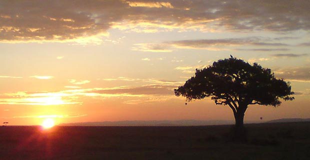kenia-nationalpark-masai-mara