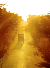 Krueger Nationalpark