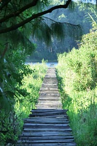luwawa-stausee
