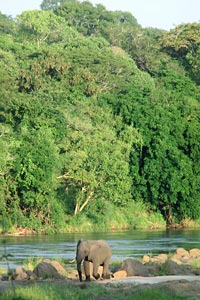 majete-wildlife-reserve