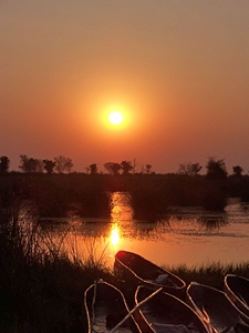 Makoros im Okavango Delta