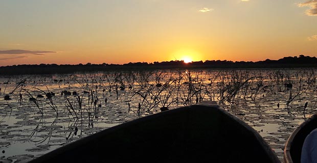 Mokoro-Sundowner-Fahrt-(1)